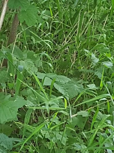 Columbus PARC - Campbellsport, WI