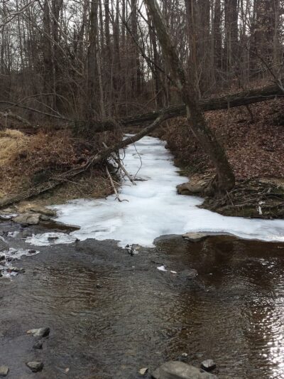 Miller Park - Campbellsville, KY
