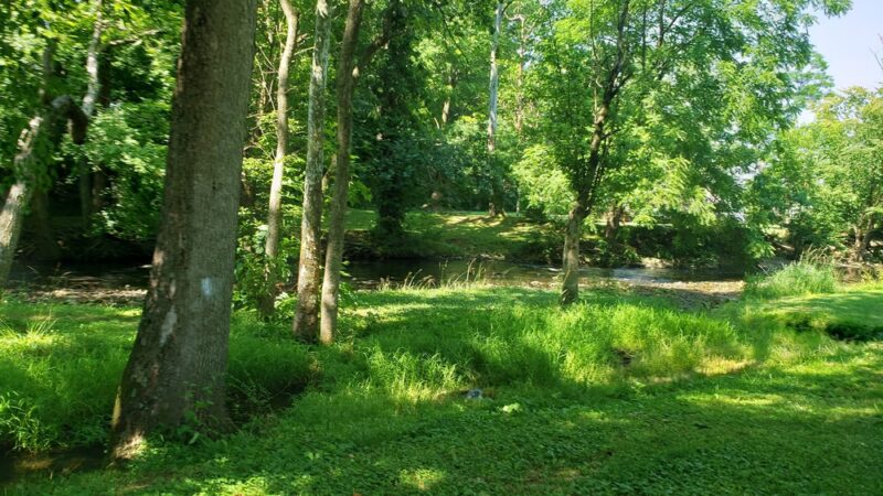 Miller Park - Campbellsville, KY