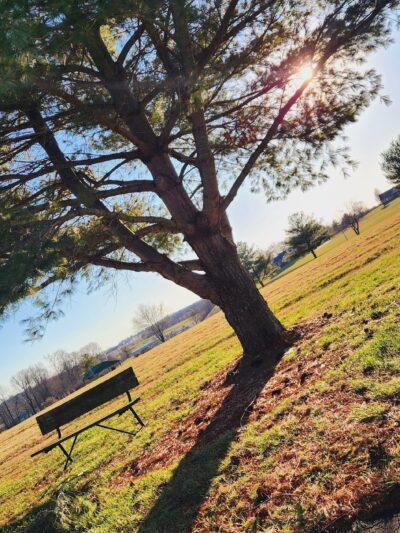 Miller Park Walking Track - Campbellsville, KY