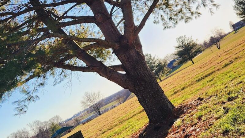 Miller Park Walking Track - Campbellsville, KY