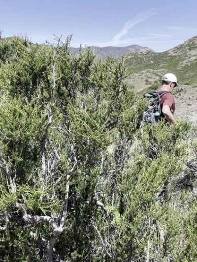 Kitchen Creek Falls Trailhead - Campo, CA