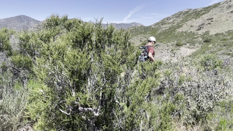 Kitchen Creek Falls Trailhead - Campo, CA