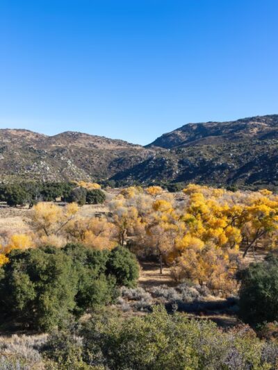 Kitchen Creek Falls Trailhead - Campo, CA