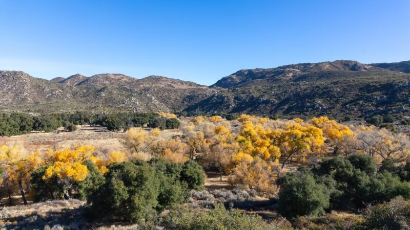 Kitchen Creek Falls Trailhead - Campo, CA