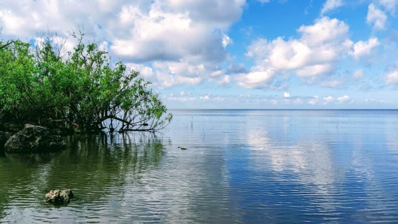 Canal Point Recreation Area - Canal Point, FL