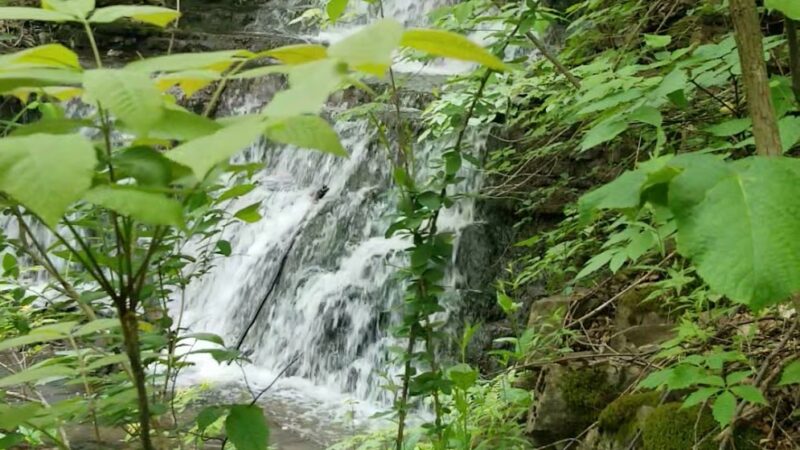 Oxbow Falls - Canastota, NY
