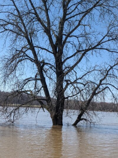Park - Cannelton, IN