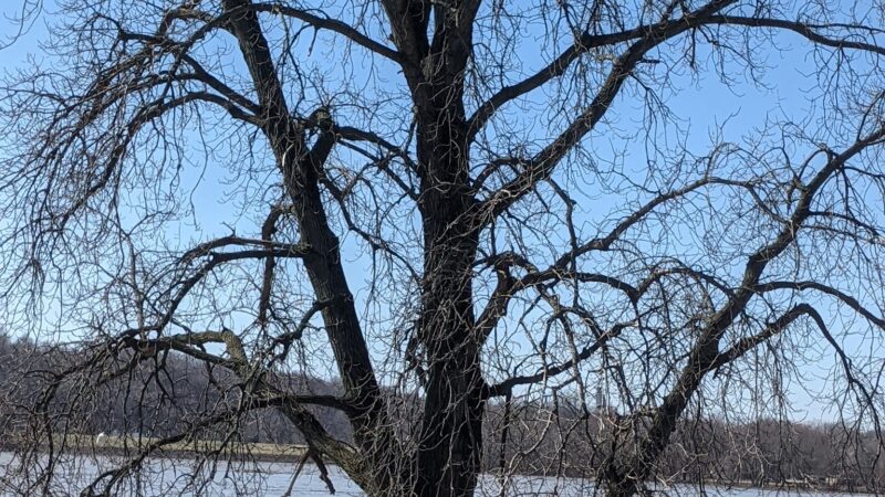 Park - Cannelton, IN