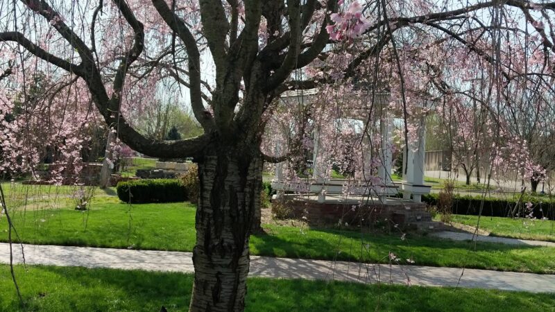 Park - Cannelton, IN