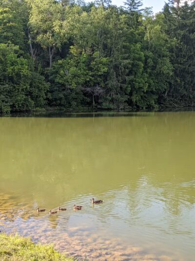 Peters Lake Park - Canonsburg, PA