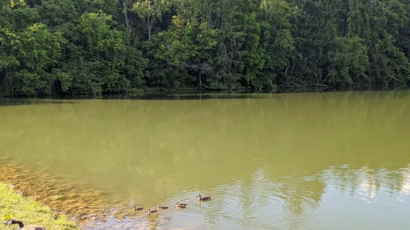 Peters Lake Park - Canonsburg, PA