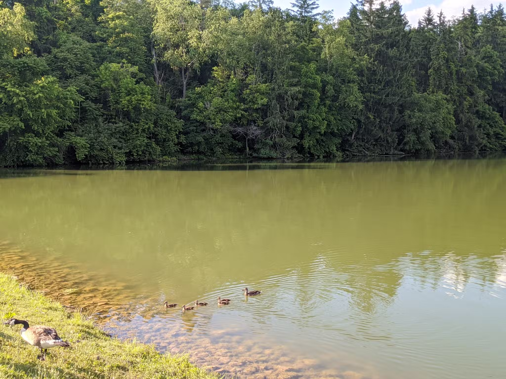 Peters Lake Park - Canonsburg, PA