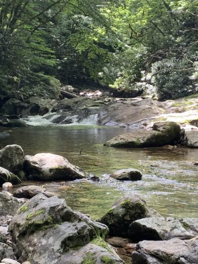 Big East Fork Pisgah - Canton, NC