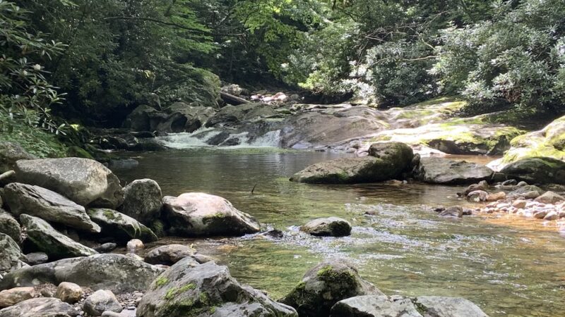 Big East Fork Pisgah - Canton, NC