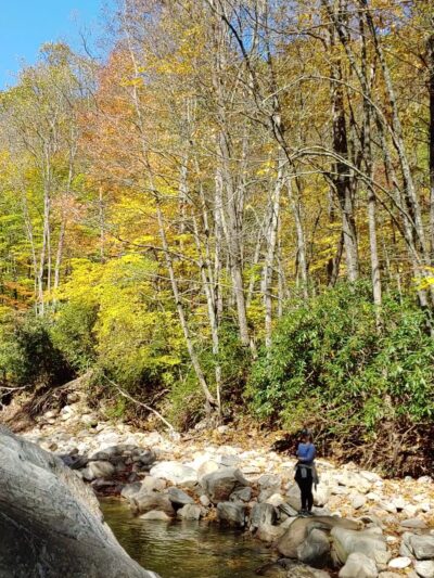 Big East Fork Pisgah - Canton, NC