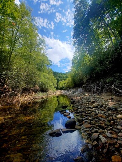 Big East Fork Pisgah - Canton, NC