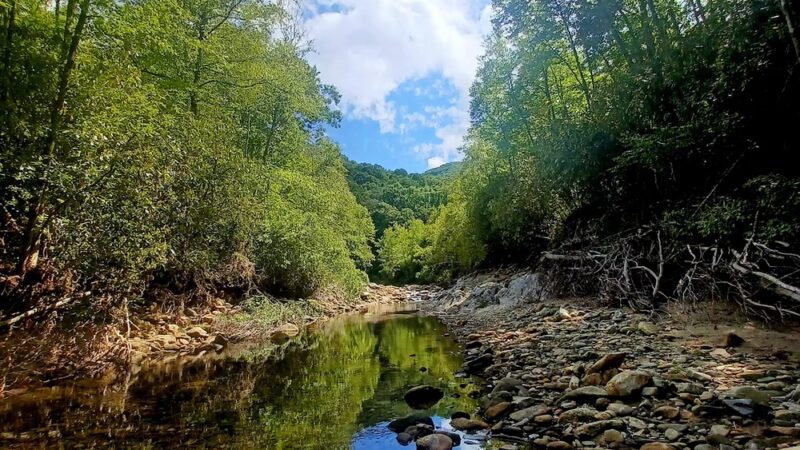 Big East Fork Pisgah - Canton, NC