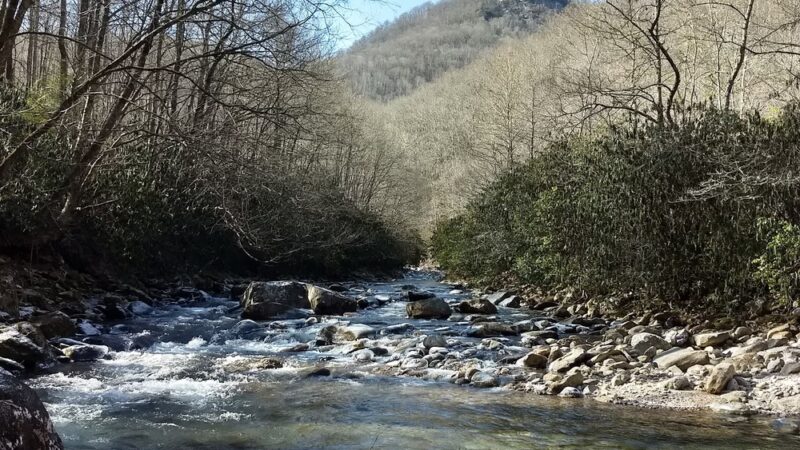 Big East Fork Pisgah - Canton, NC