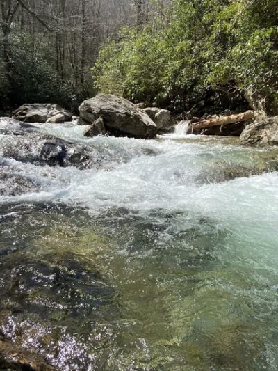 Big East Fork Pisgah - Canton, NC