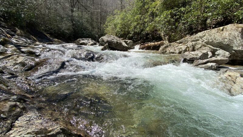 Big East Fork Pisgah - Canton, NC