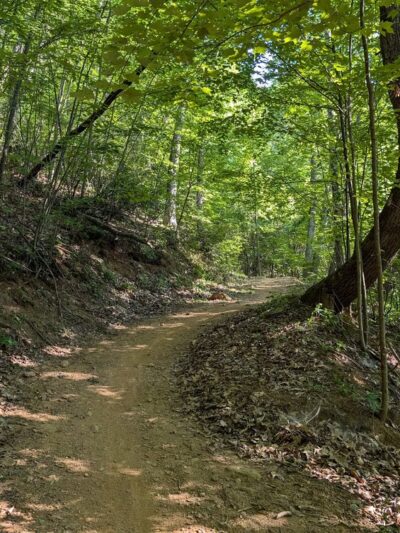 Chestnut Mountain Nature Park - Canton, NC
