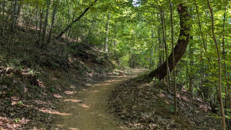 Chestnut Mountain Nature Park - Canton, NC