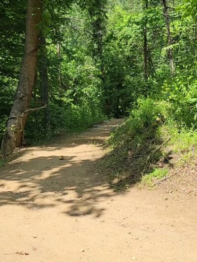 Chestnut Mountain Nature Park - Canton, NC