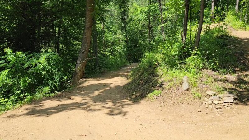 Chestnut Mountain Nature Park - Canton, NC