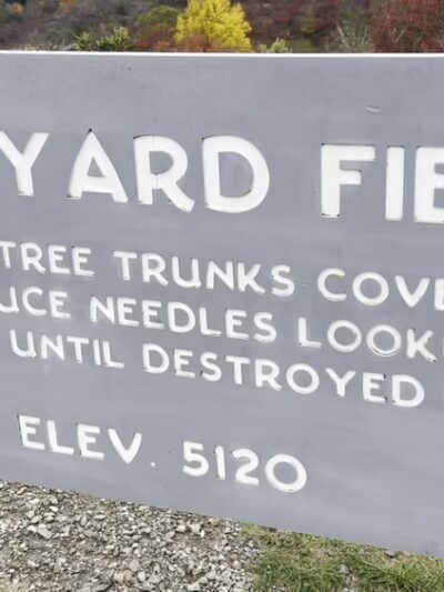 Graveyard Fields Loop Trail - Canton, NC