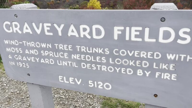 Graveyard Fields Loop Trail - Canton, NC