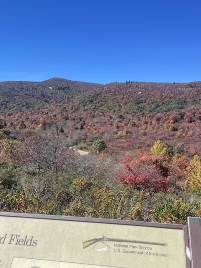 Graveyard Fields Loop Trail - Canton, NC