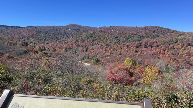 Graveyard Fields Loop Trail - Canton, NC