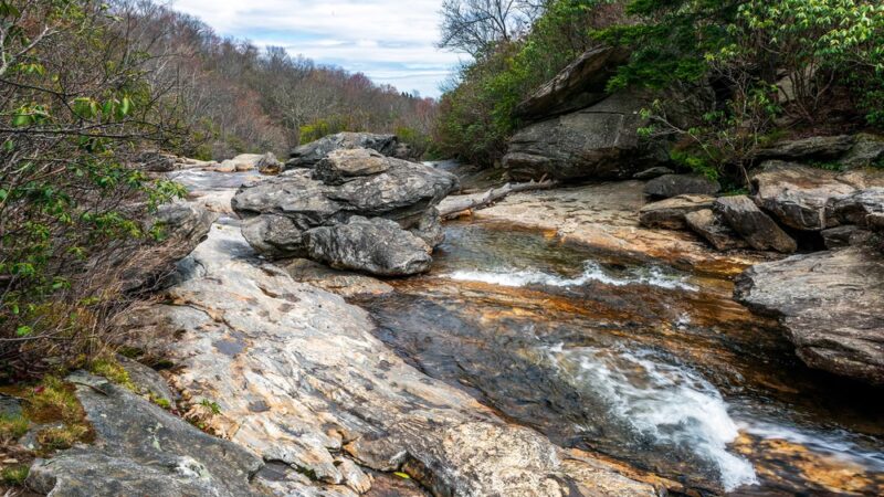 Graveyard Fields Loop Trail - Canton, NC
