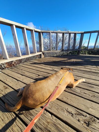 Mount Pisgah - Canton, NC