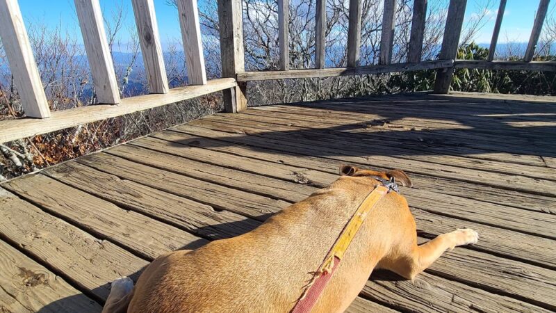 Mount Pisgah - Canton, NC