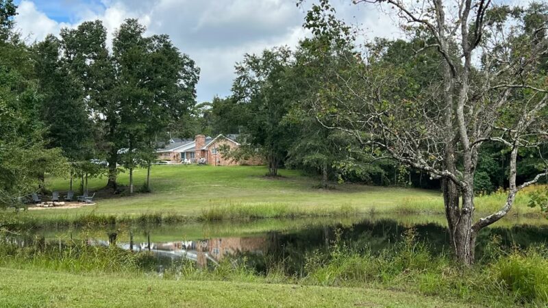 Dandelion Ridge - Cantonment, FL