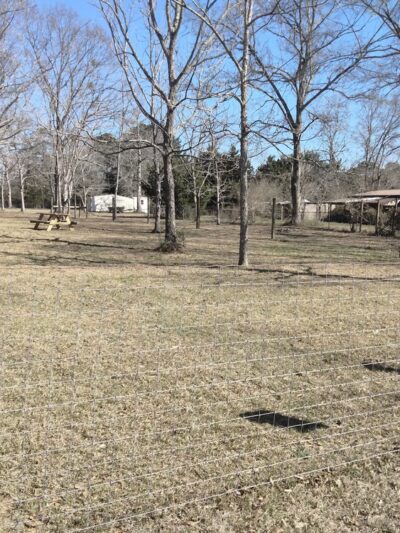 Plundering Dog Acres - Cantonment, FL