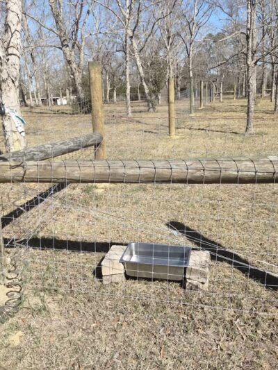 Plundering Dog Acres - Cantonment, FL