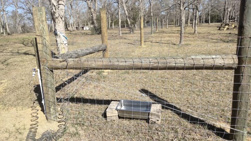 Plundering Dog Acres - Cantonment, FL