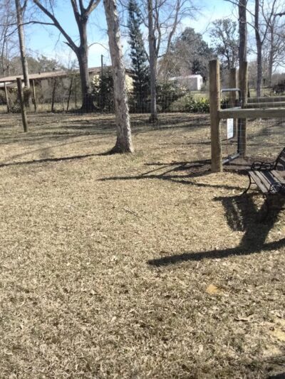 Plundering Dog Acres - Cantonment, FL