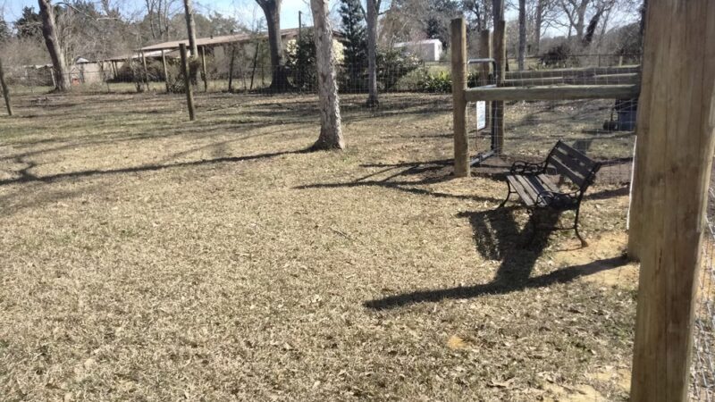 Plundering Dog Acres - Cantonment, FL