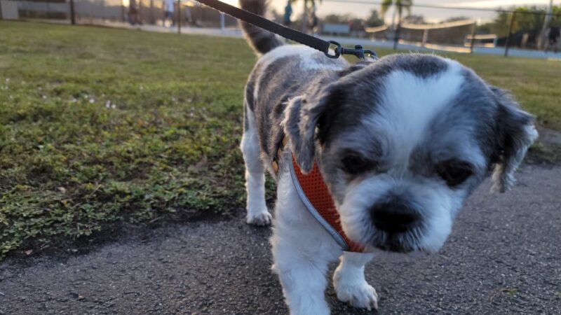 Cape Coral Joe Stonis Park - Cape Coral, FL