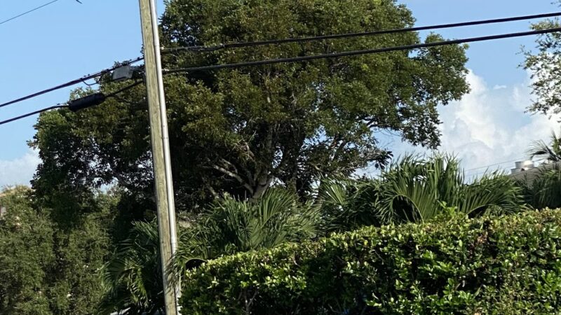 Founders Park - Cape Coral, FL