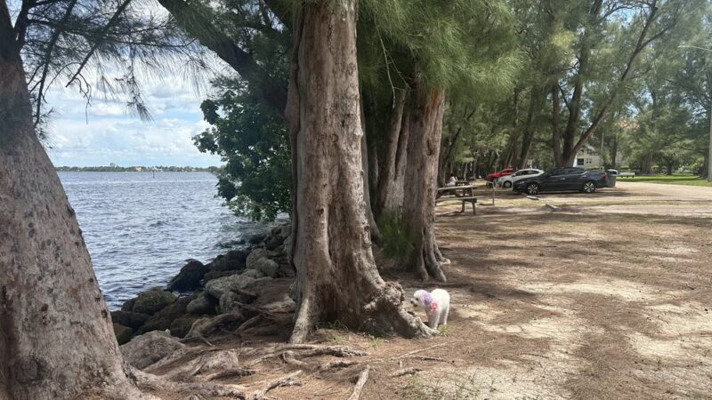 Jaycee Park - Cape Coral, FL