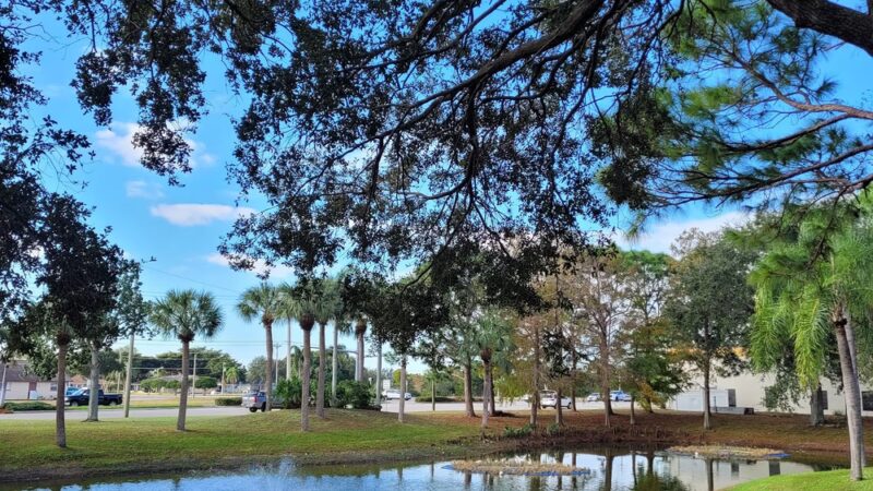 Reflections Park - Cape Coral, FL