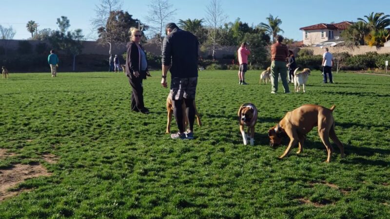 Encinitas Dog Park - Cardiff, CA