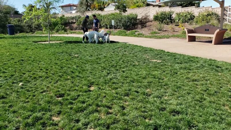 Encinitas Dog Park - Cardiff, CA