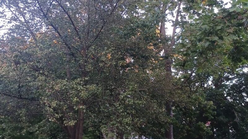 Linder Park - Carlisle, PA