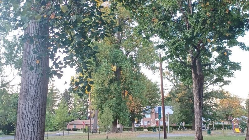 Linder Park - Carlisle, PA